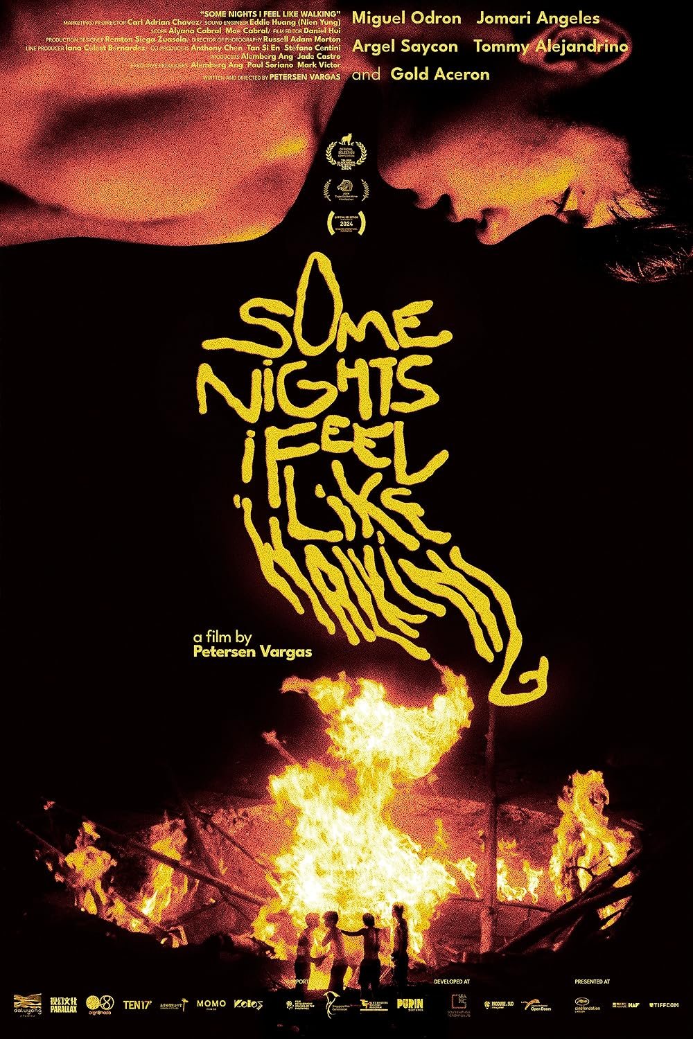 'Some Nights I Feel Like Walking' review — Body of work